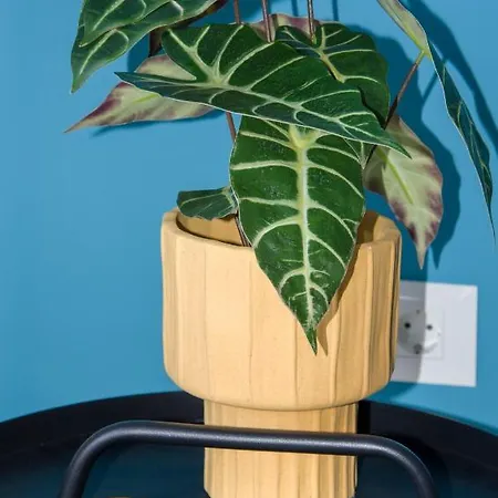 Centre Gem In Chania Apartment Chania (Crete)