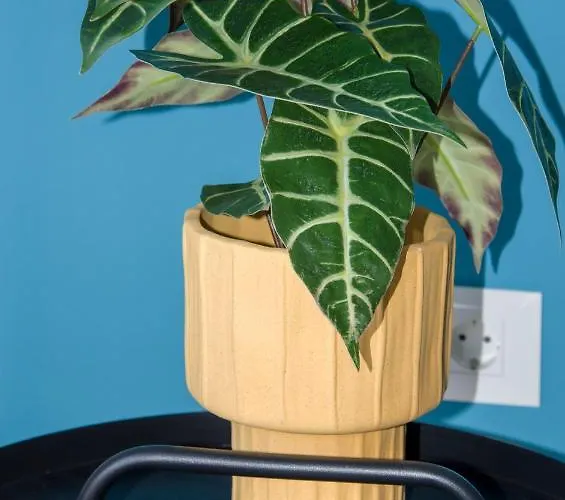 Centre Gem In Chania Appartamento La Canea